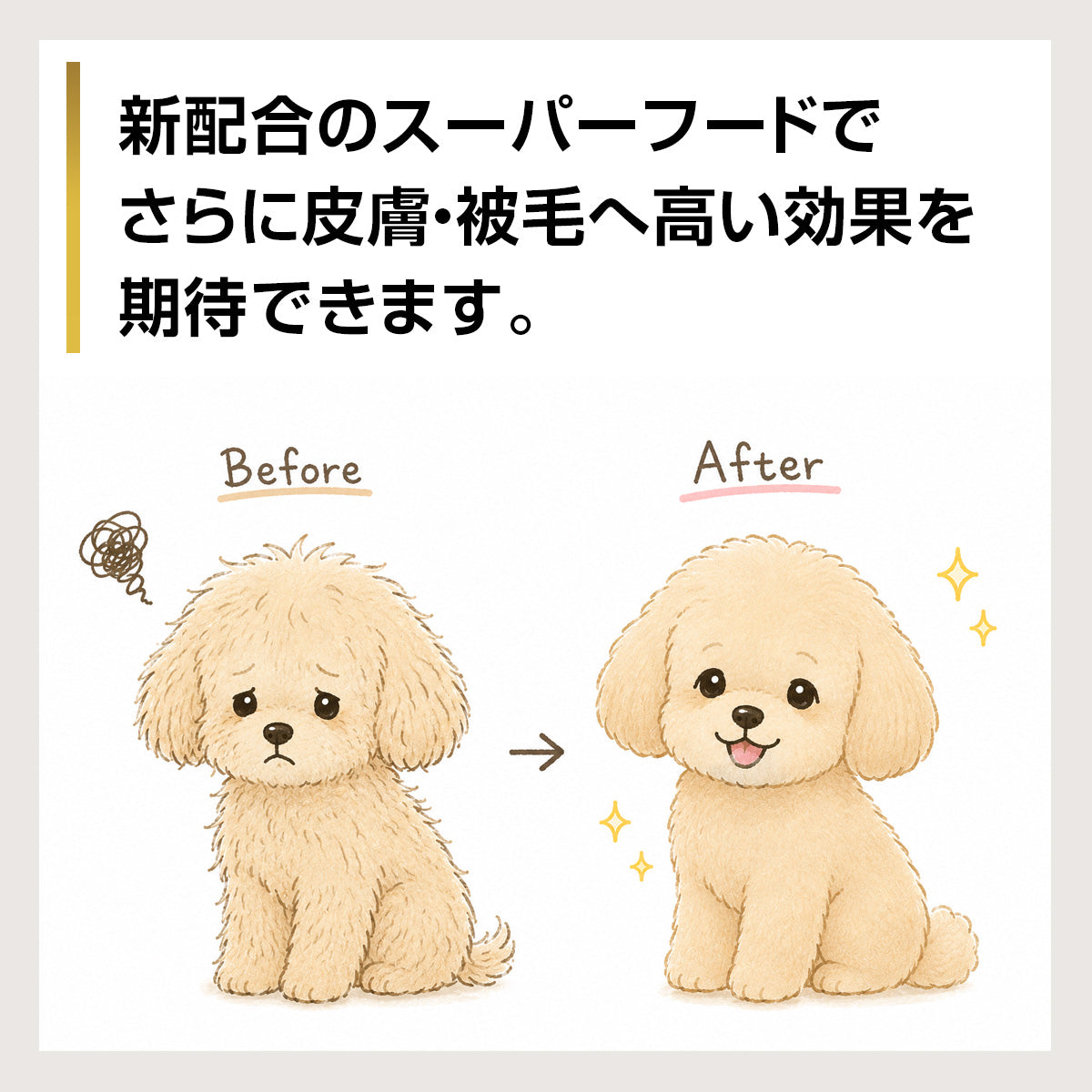 NEW もりもり ぼくらのげんきごはん 800g