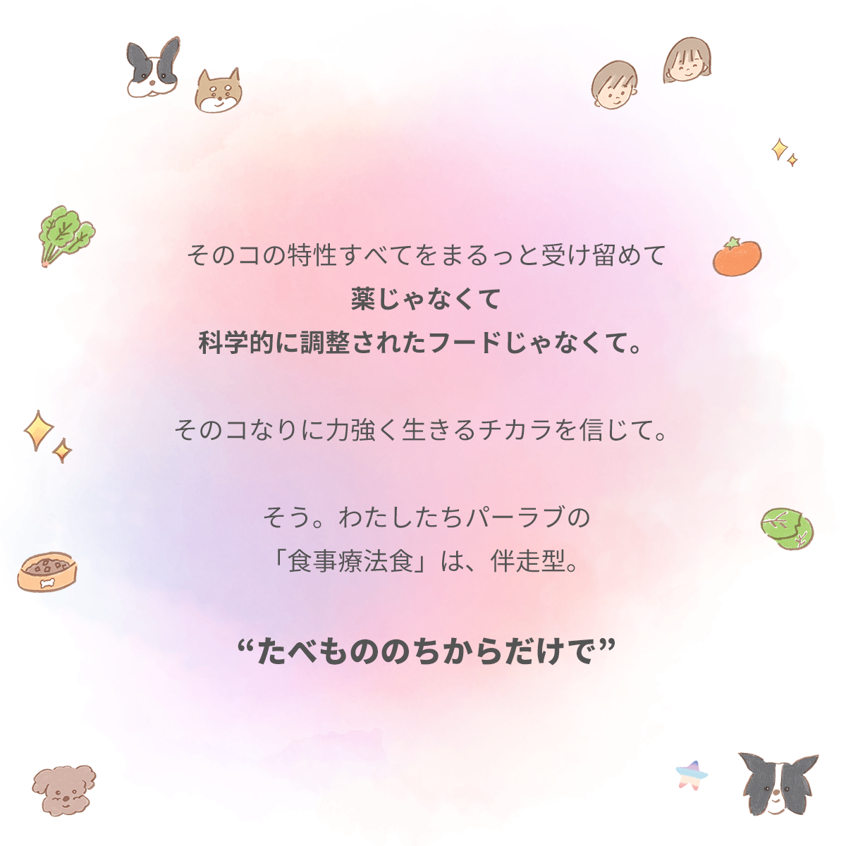 きらきら ぼくらのなみだごはん 〜食事療法食・心臓〜