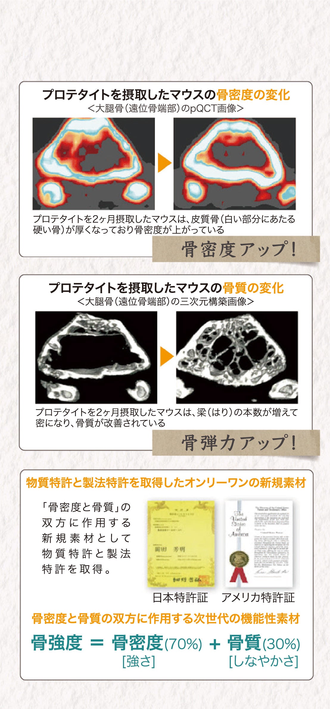 乳酸菌エイチジンフレーム(骨のサポートに特化) 人用