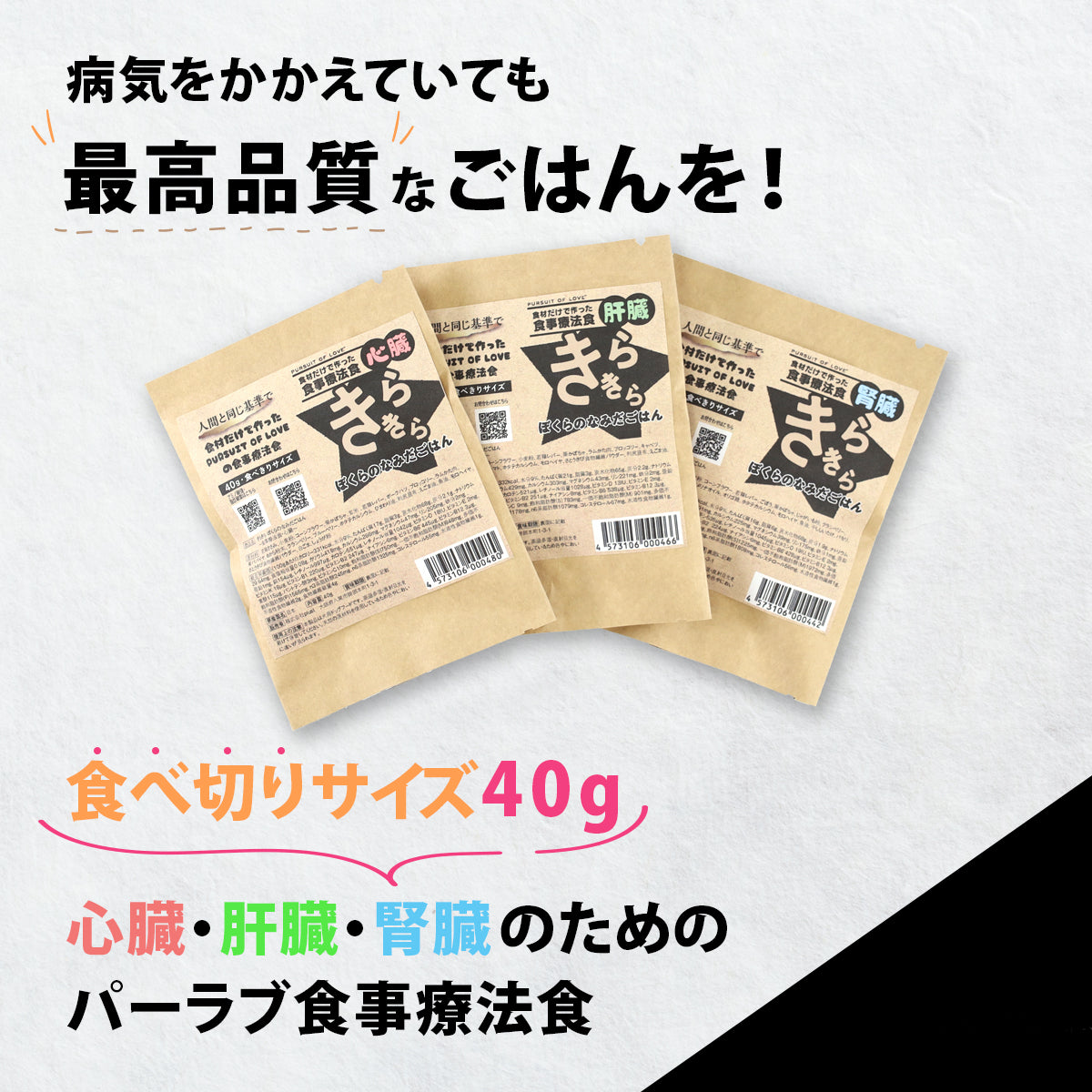 パーラブごはん 40g 食べきりサイズ ~食事療法食~