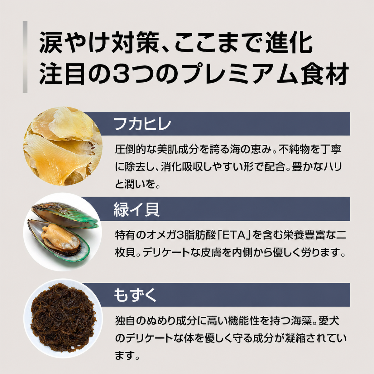 NEW もりもり ぼくらのげんきごはん 800g