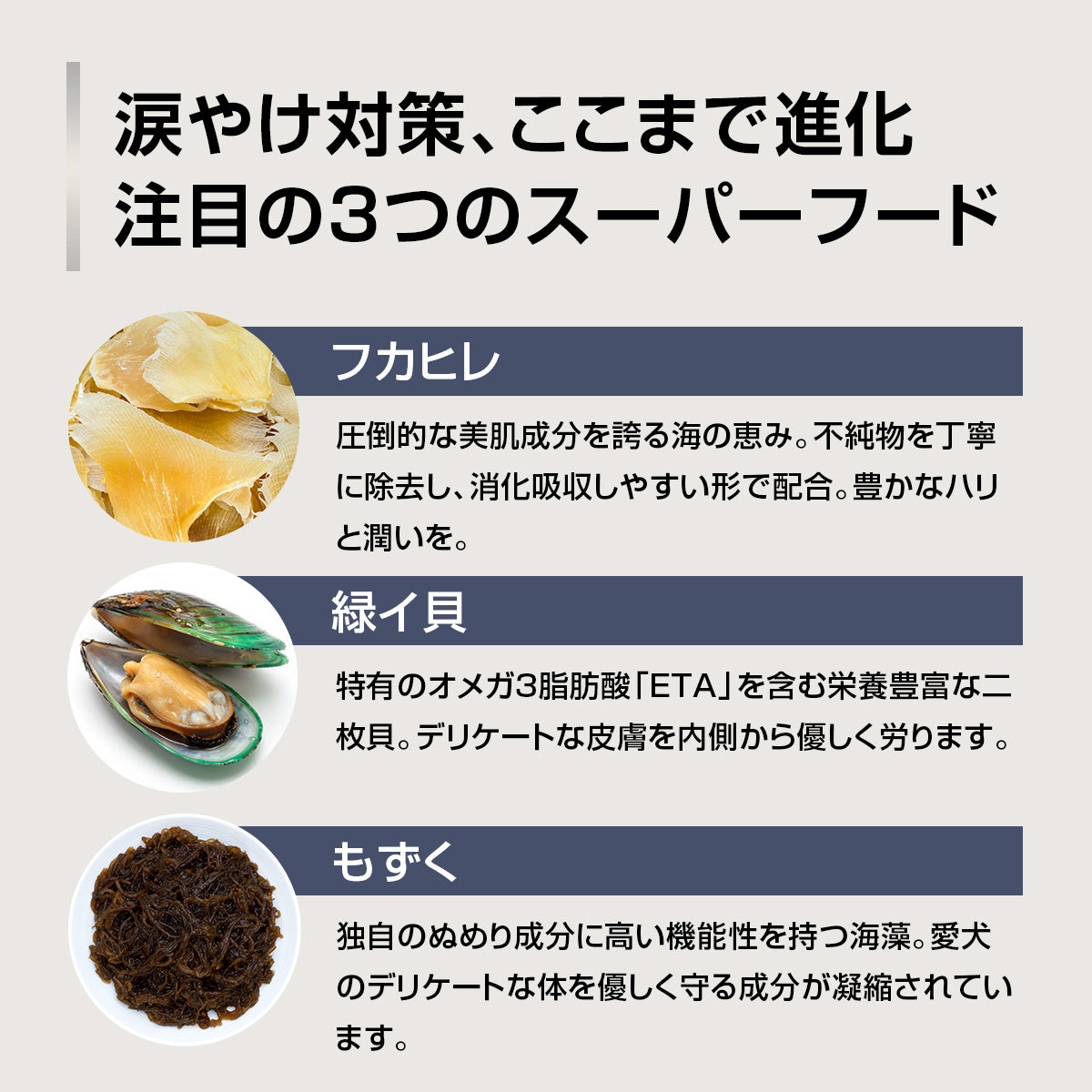 NEW もりもり ぼくらのげんきごはん 400g