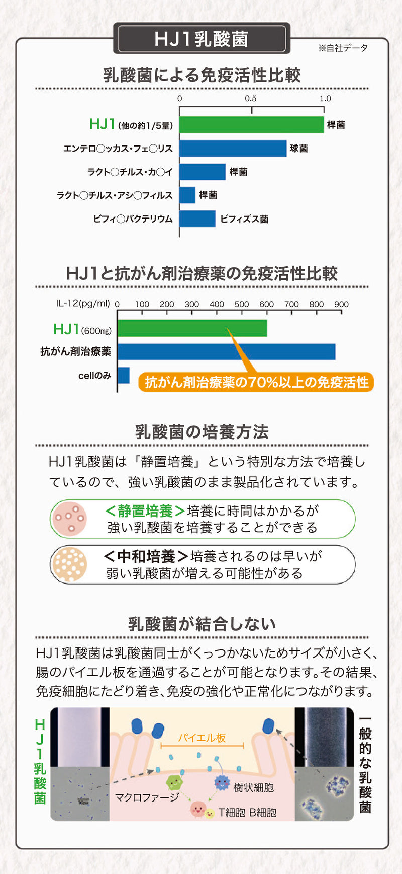 乳酸菌エイチジンフレーム（骨のサポートに特化） 人用